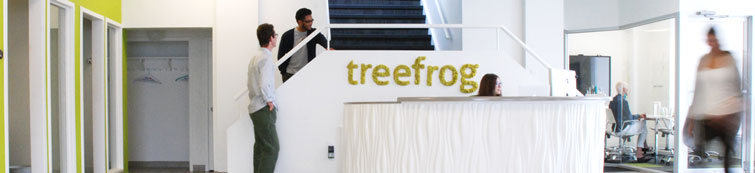 CEO Sean Stephens addresses the Treefrog Team