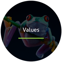 Values