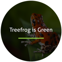 Treefrog is Green